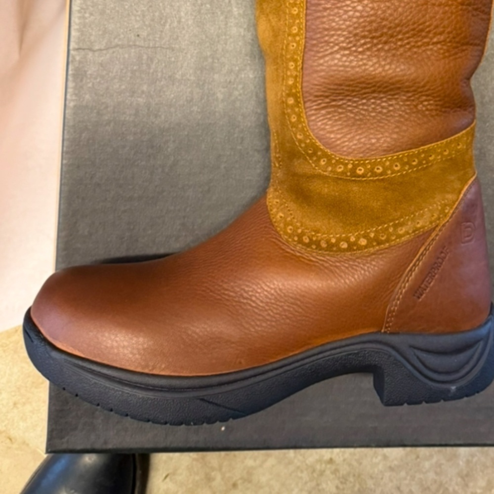 Dublin boots